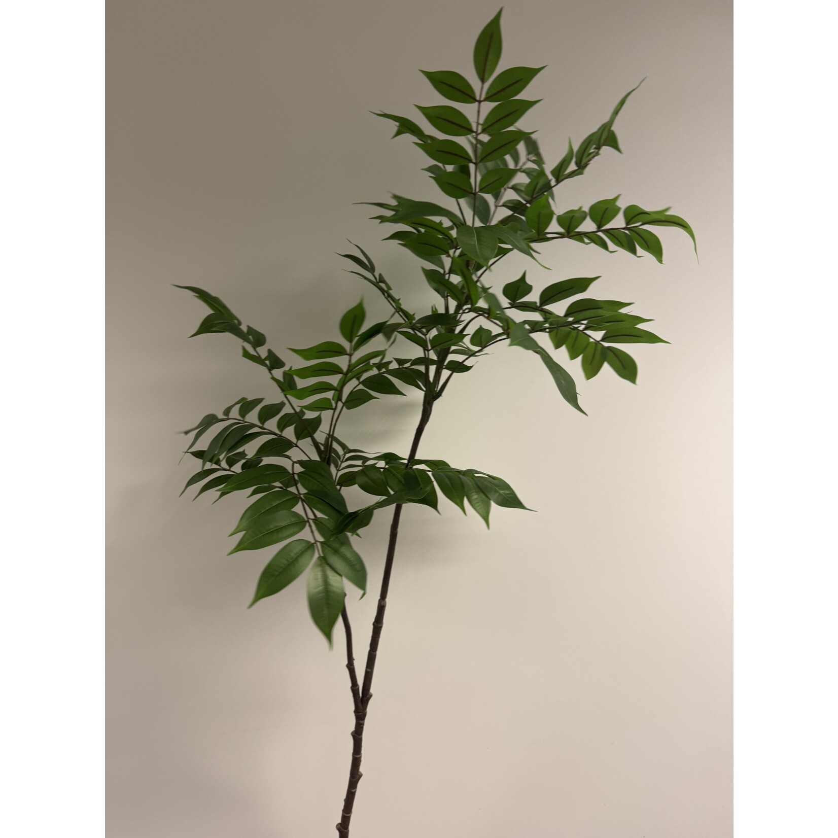 BLADTAK XL  | GROEN | 120 CM