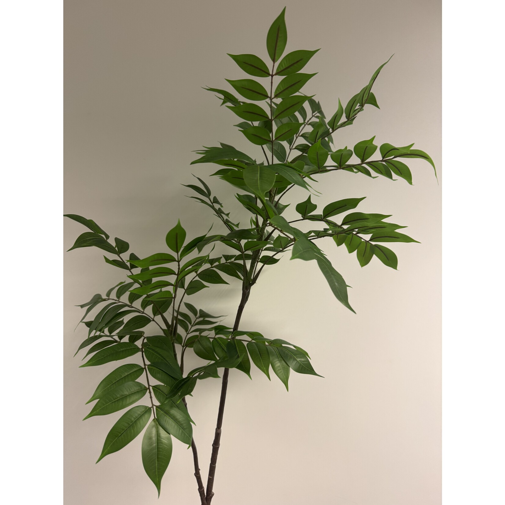 BLADTAK XL  | GROEN | 120 CM