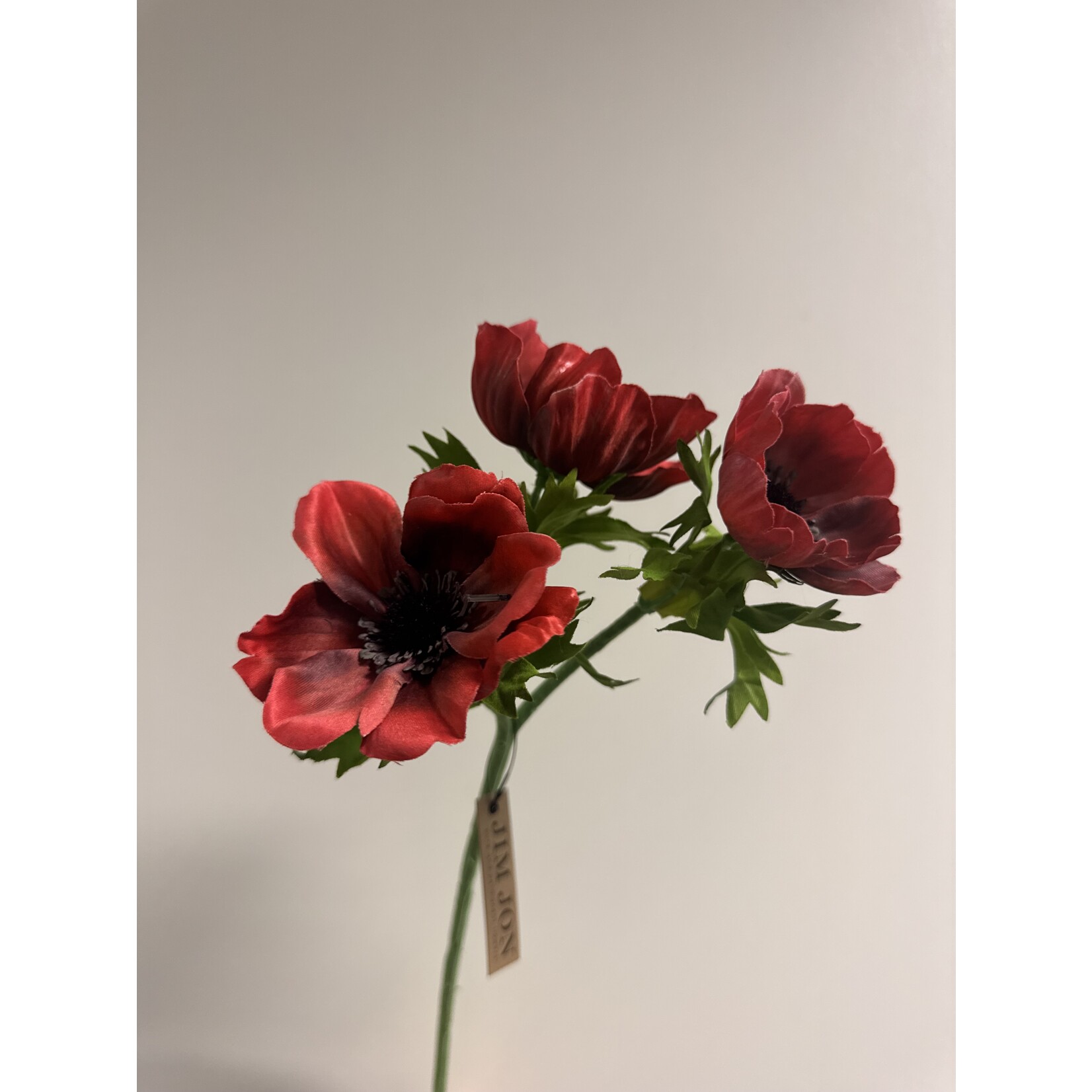 ANEMOON FULL STAR | ROOD| 46 CM