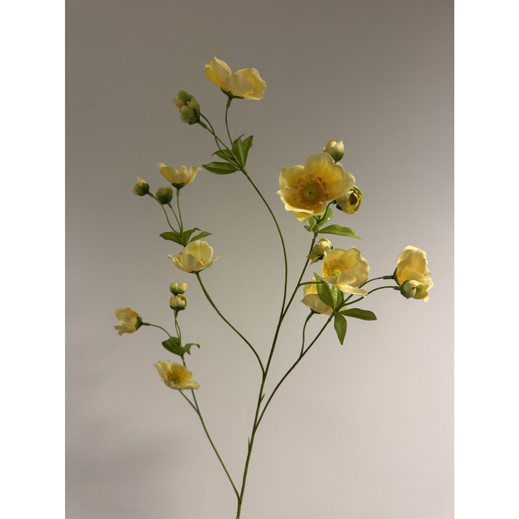 ANEMONE XL | YELLOW | 110 CM