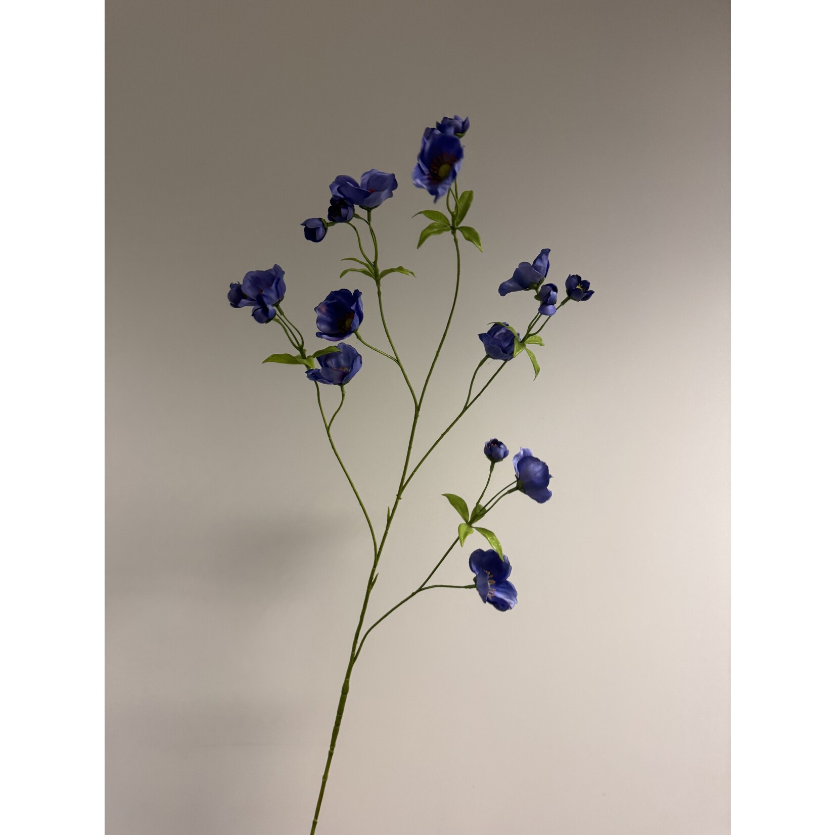 ANEMONE XL | BLUE | 110 CM