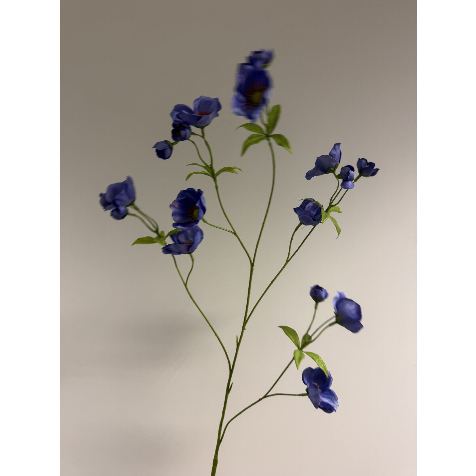 ANEMONE XL | BLUE | 110 CM