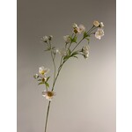 ANEMONE XL | WHITE | 110 CM