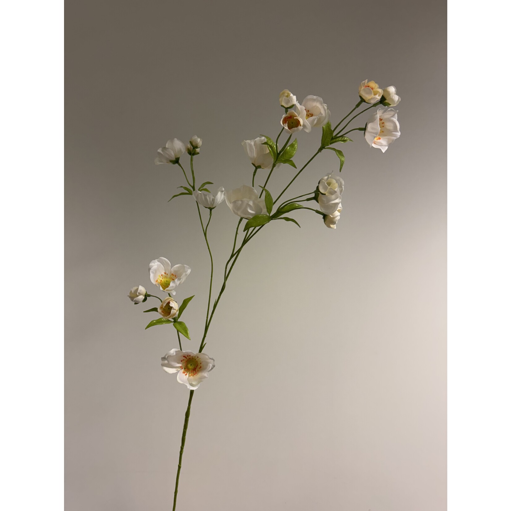 ANEMONE XL | WHITE | 110 CM