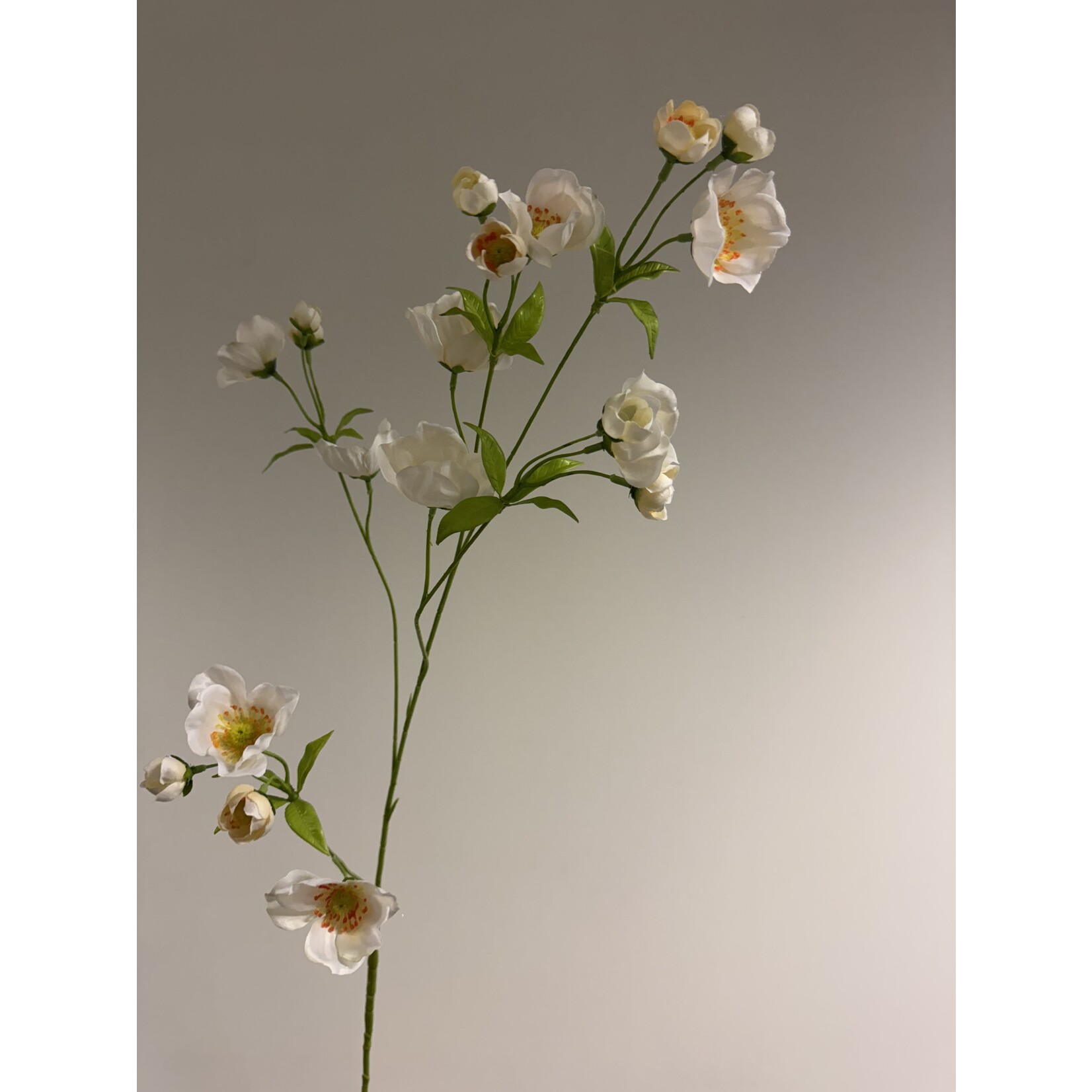 ANEMOON XL | WIT | 110 CM