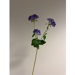 GERANIUM | BLAUW | 75 CM