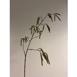 WILGENTAK | GROEN | 95 CM