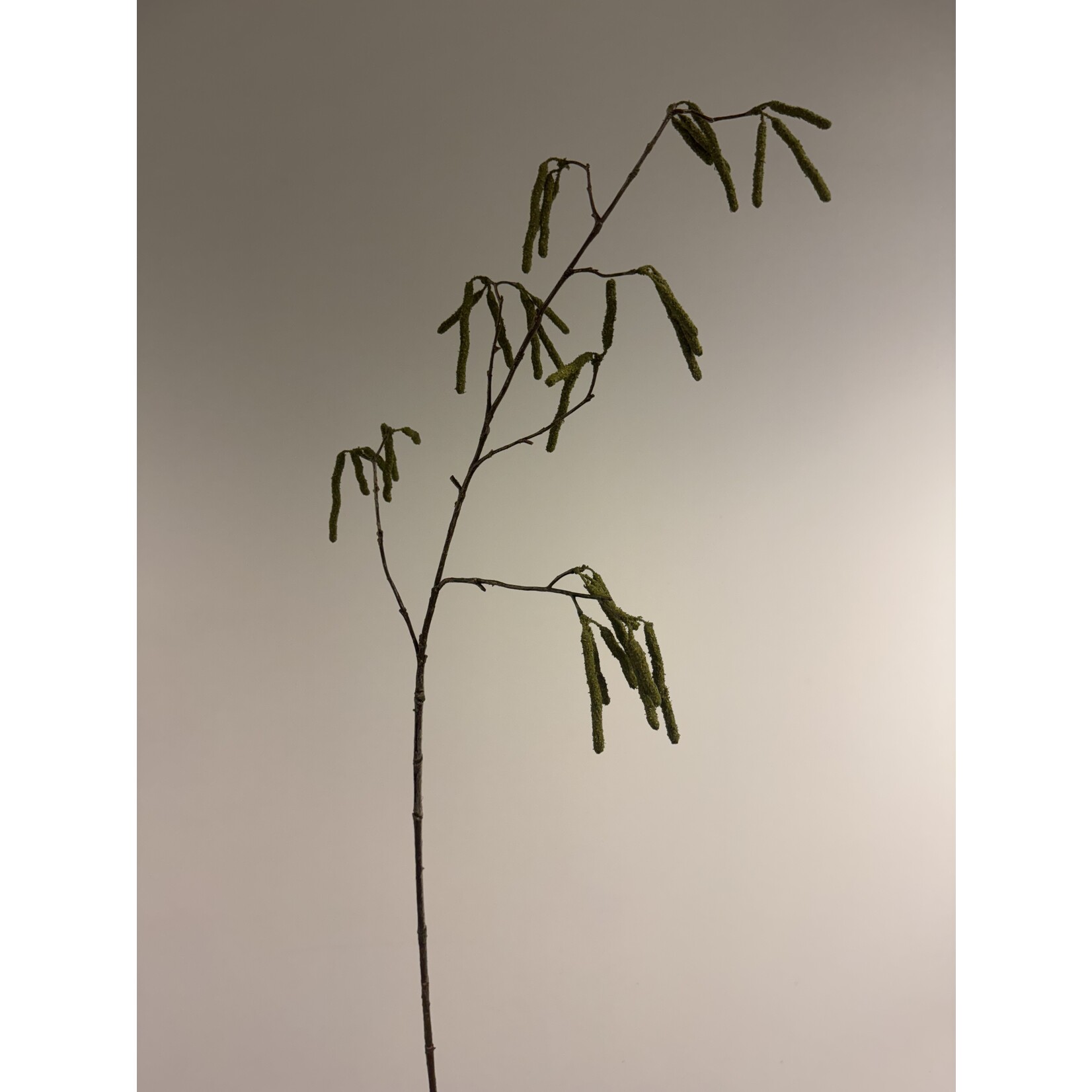 PUSSY WILLOW | GREEN | 95 CM