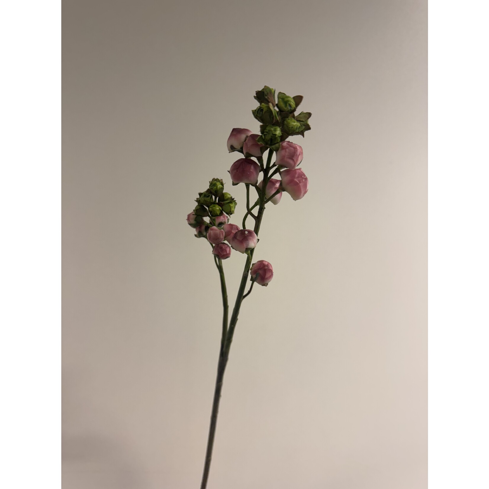 BLOEM IN KNOP | ROZE | 55 CM