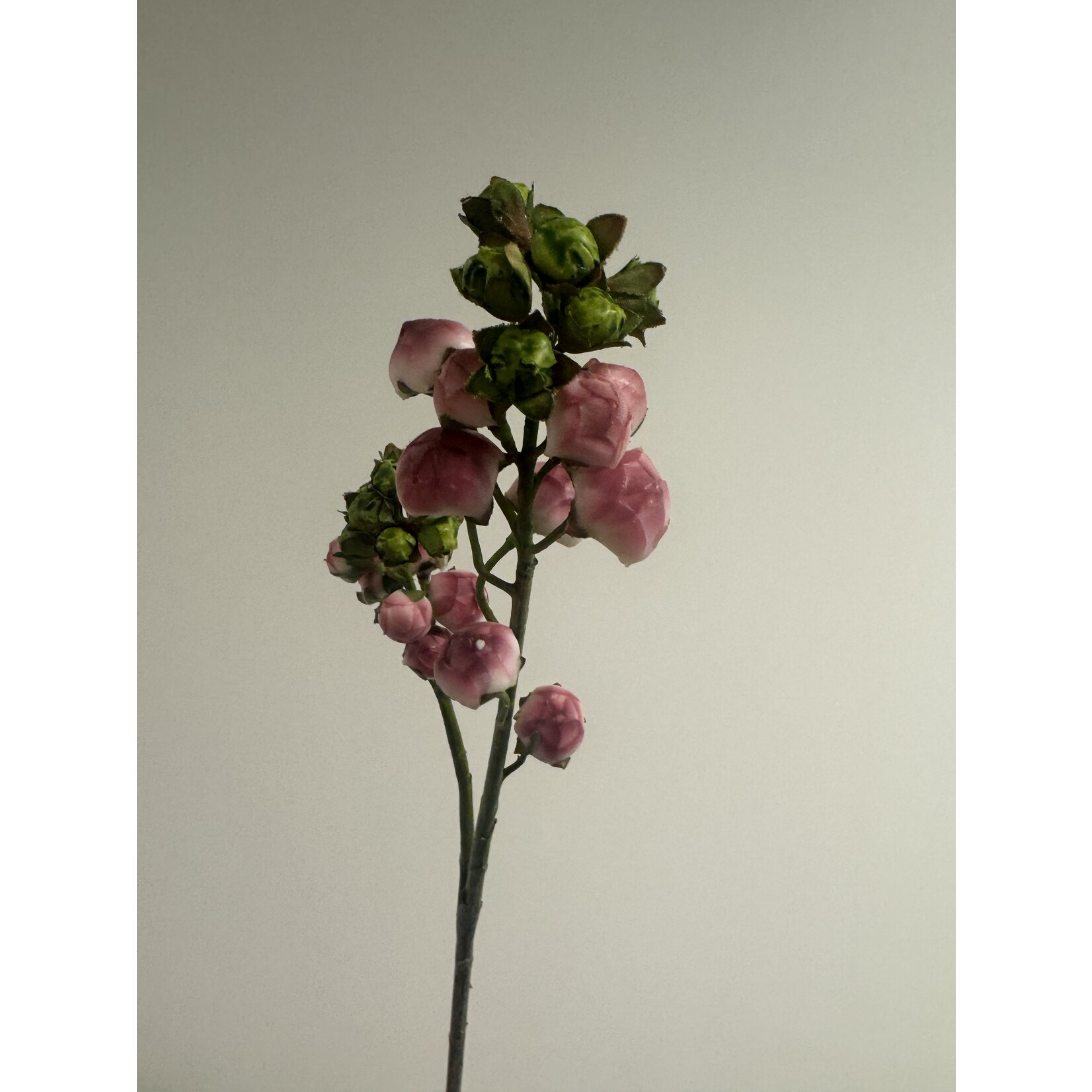 BLOEM IN KNOP | ROZE | 55 CM