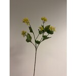 LONICERA | YELLOW | 65 CM