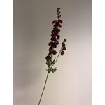 DELPHINIUM | RED | 85 CM