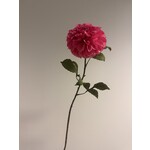 DAHLIA | CORAL |  90 CM
