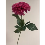 DAHLIA | HOT PINK |  60 CM