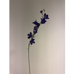 CAMPANULA | PURPLE| 66 CM