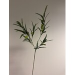 MILKWEED | GREEN | 96 CM