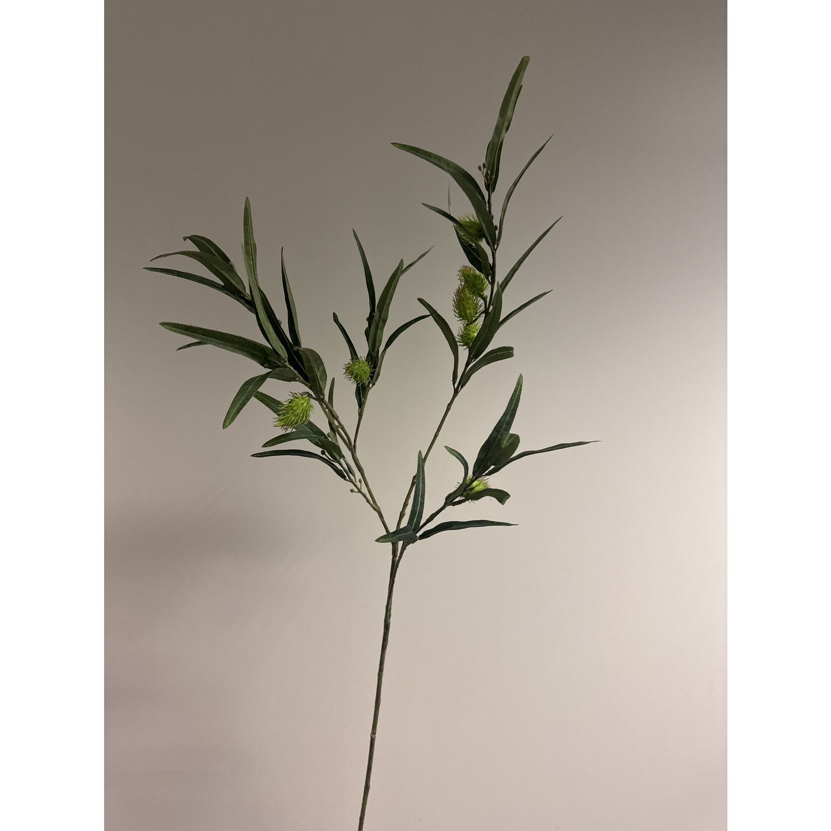 MILKWEED | GROEN | 96 CM