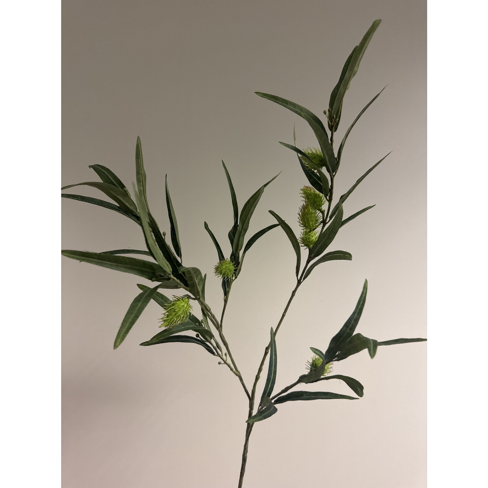 MILKWEED | GREEN | 96 CM
