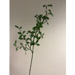 GARDEN PRIVET | GREEN | 104 CM