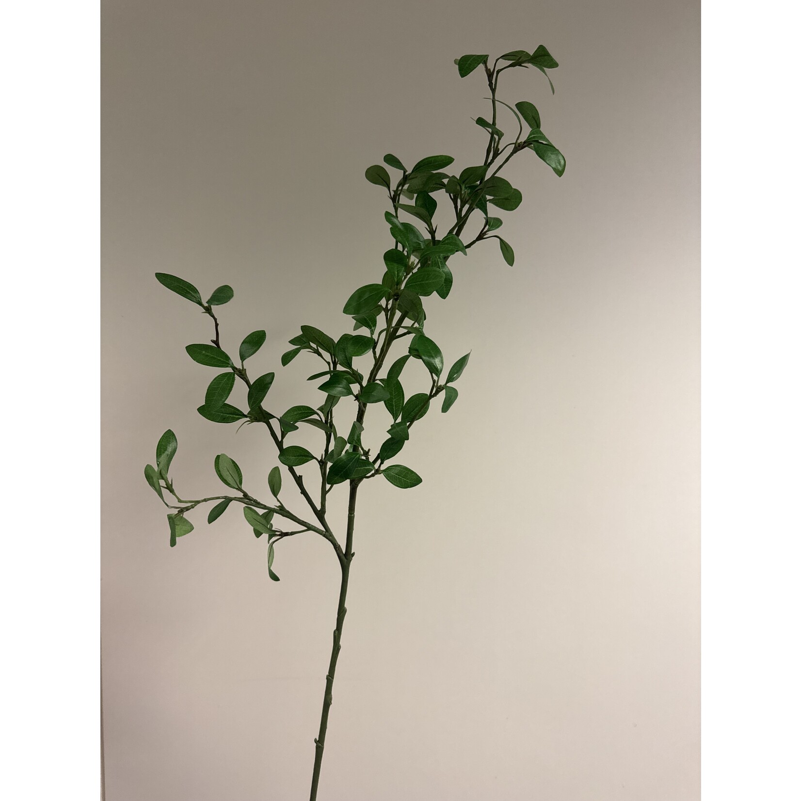 GARDEN PRIVET | GREEN | 104 CM
