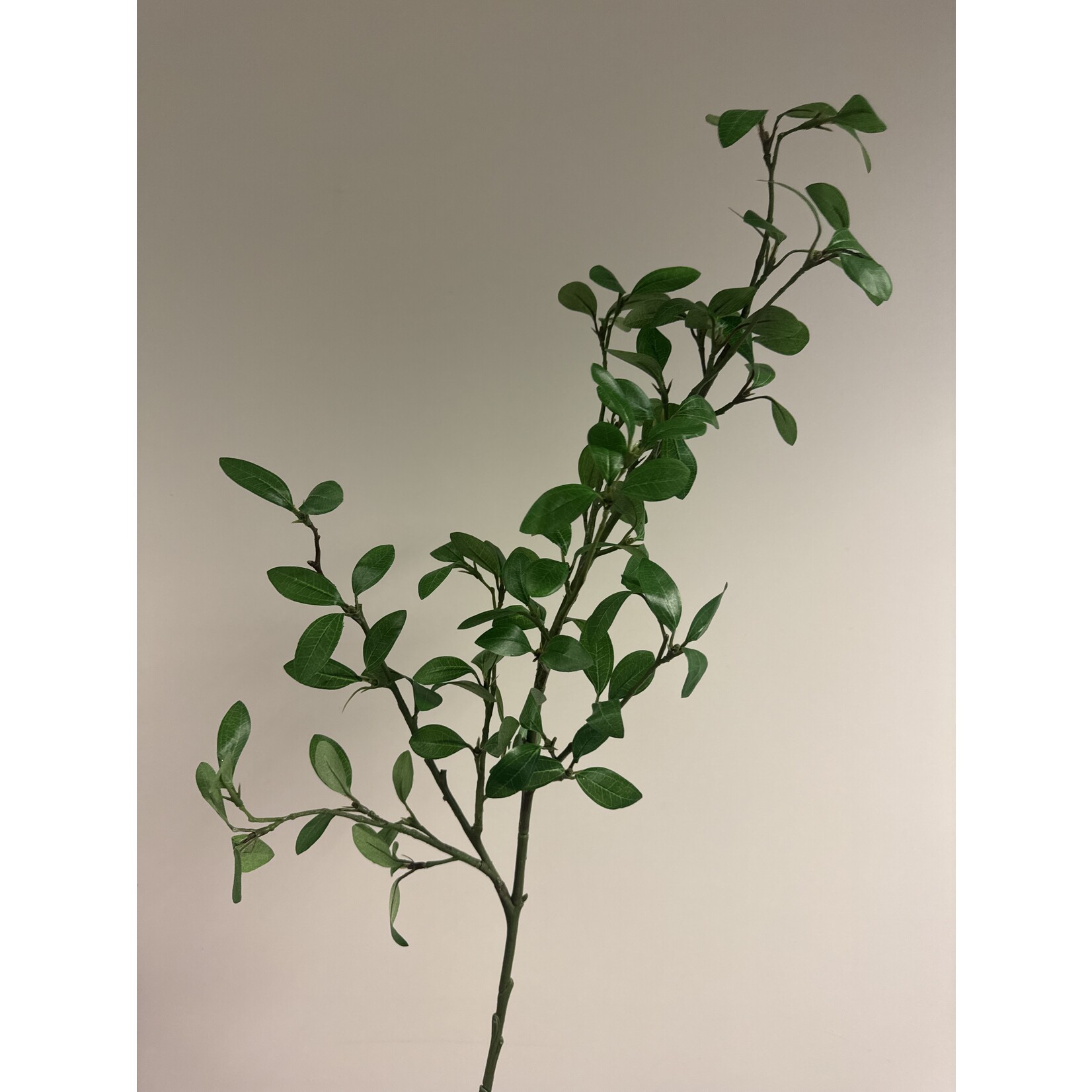 GARDEN PRIVET | GREEN | 104 CM