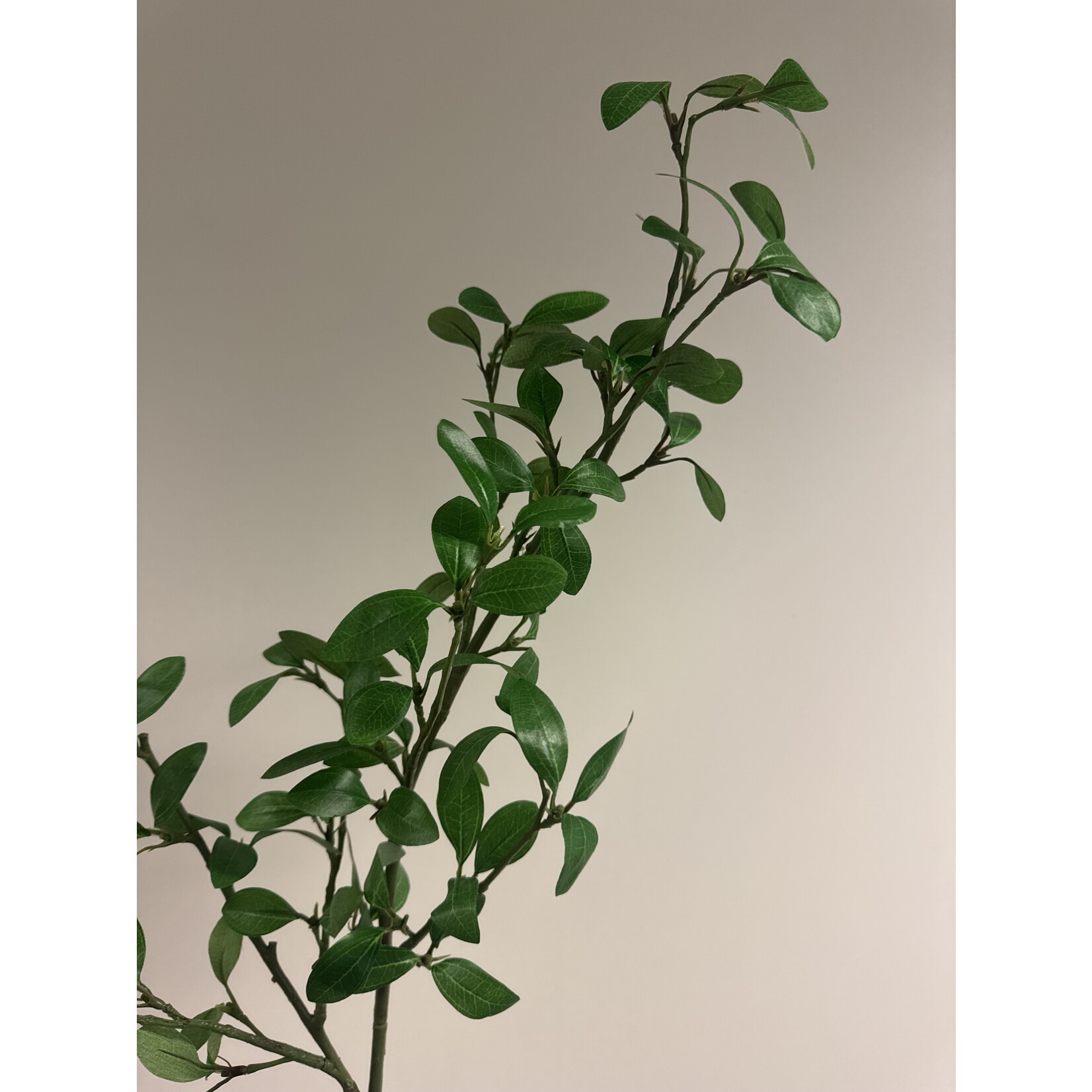 GARDEN PRIVET | GREEN | 104 CM