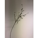 PIMPERNEL | GROEN | 100 CM