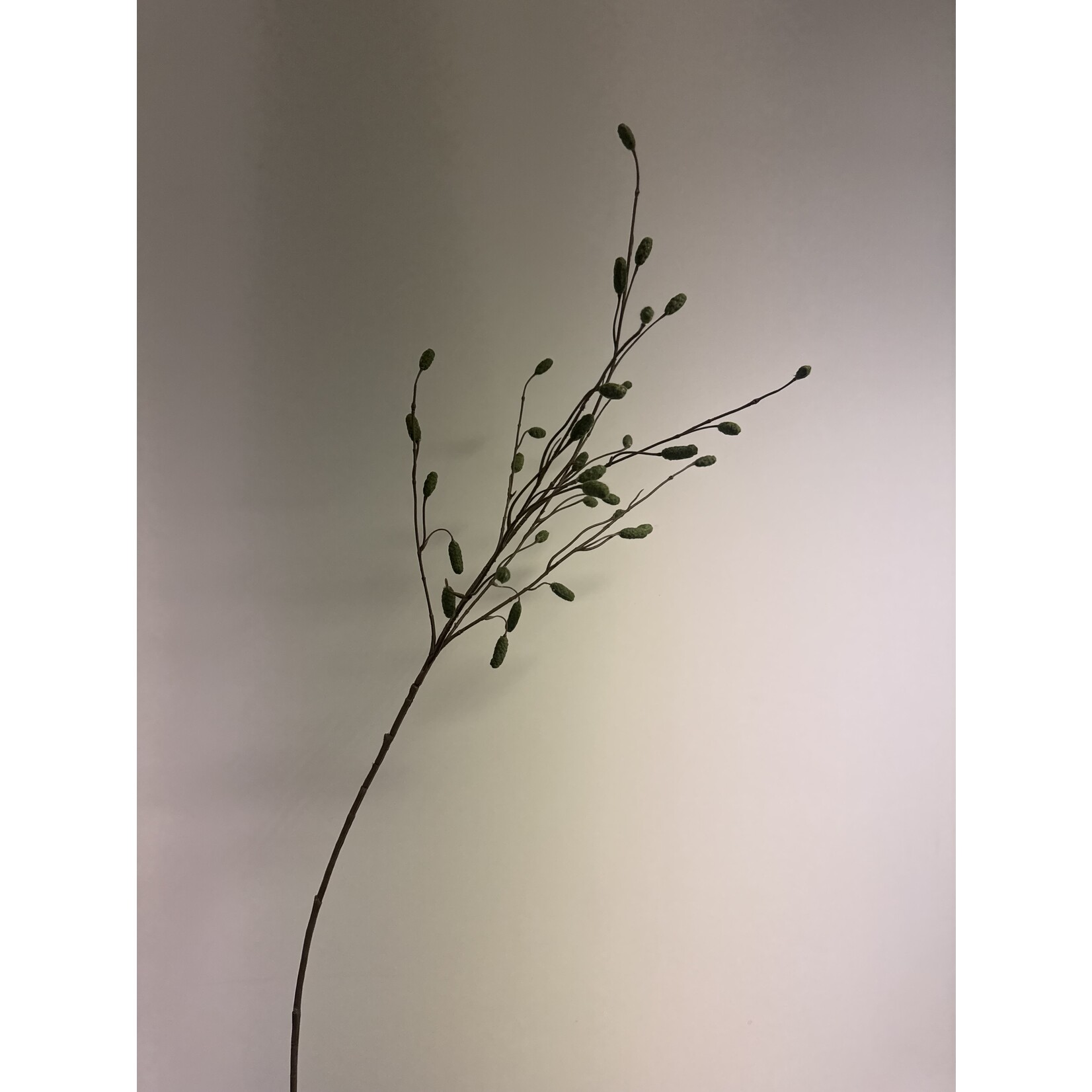 BURNET | GREEN | 100 CM