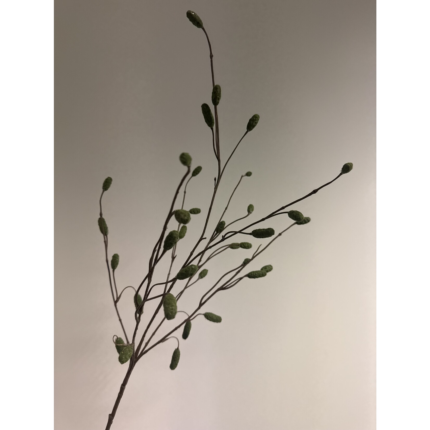 BURNET | GREEN | 100 CM