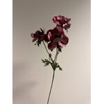 ANEMONE | DARK PINK | 73 CM