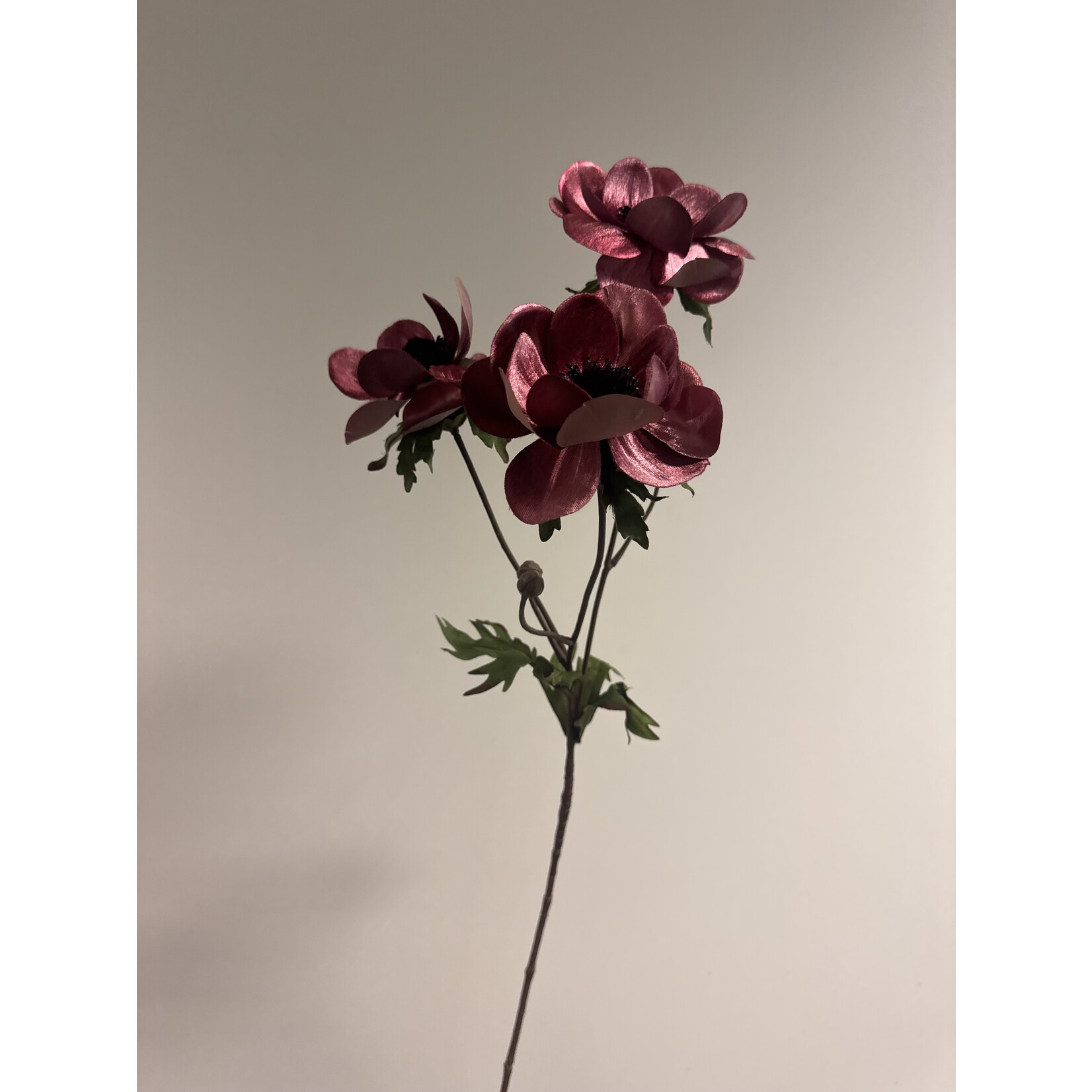 ANEMONE CHRISTMAS | DARK PINK | 73 CM