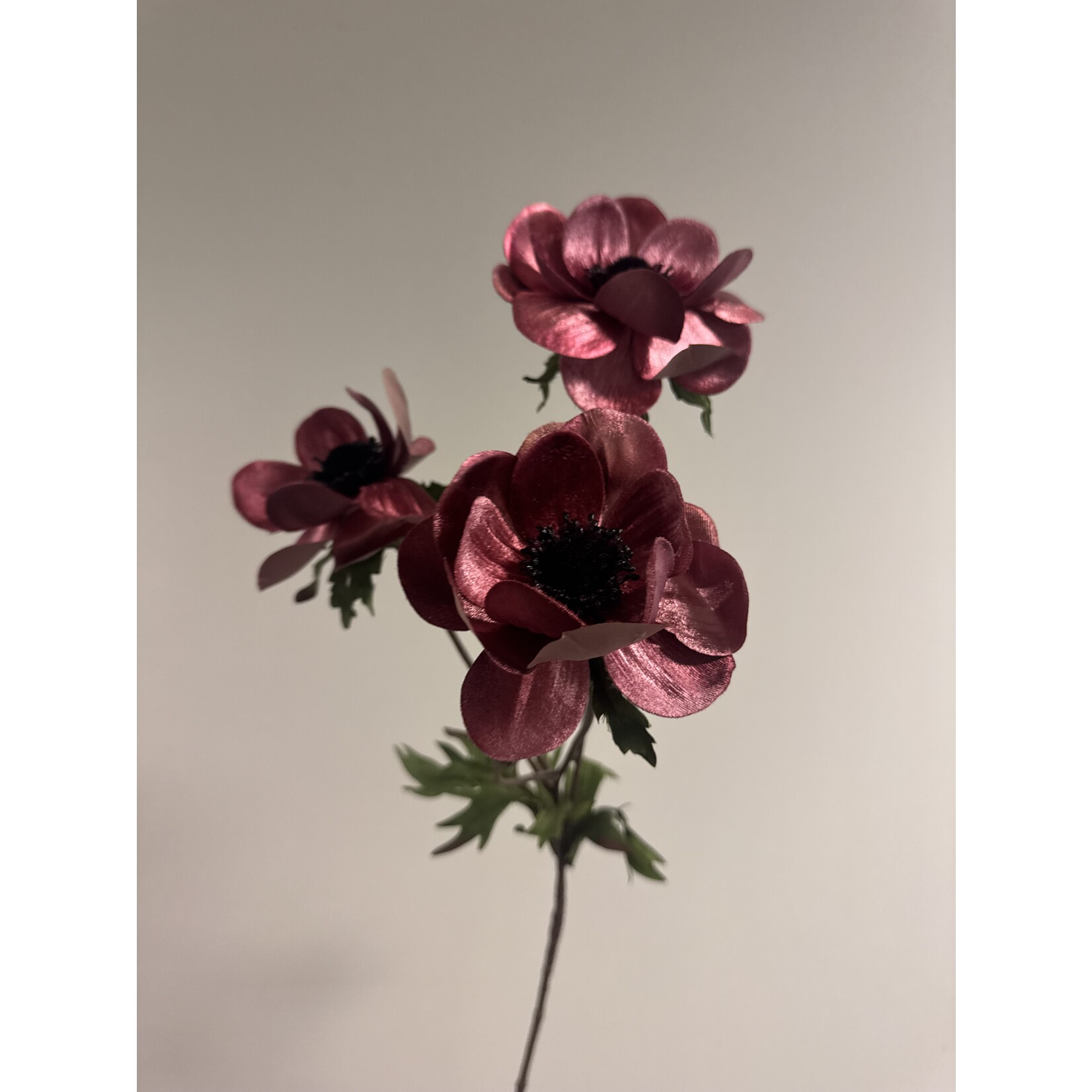 ANEMONE CHRISTMAS | DARK PINK | 73 CM