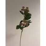 BESSENTAK HEDERA | ROZE |  70 CM