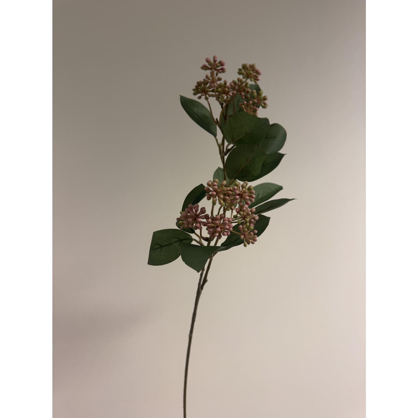 BESSENTAK HEDERA | ROZE |  70 CM