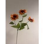 CHRYSANTHEMUM | ORANGE | 80 CM