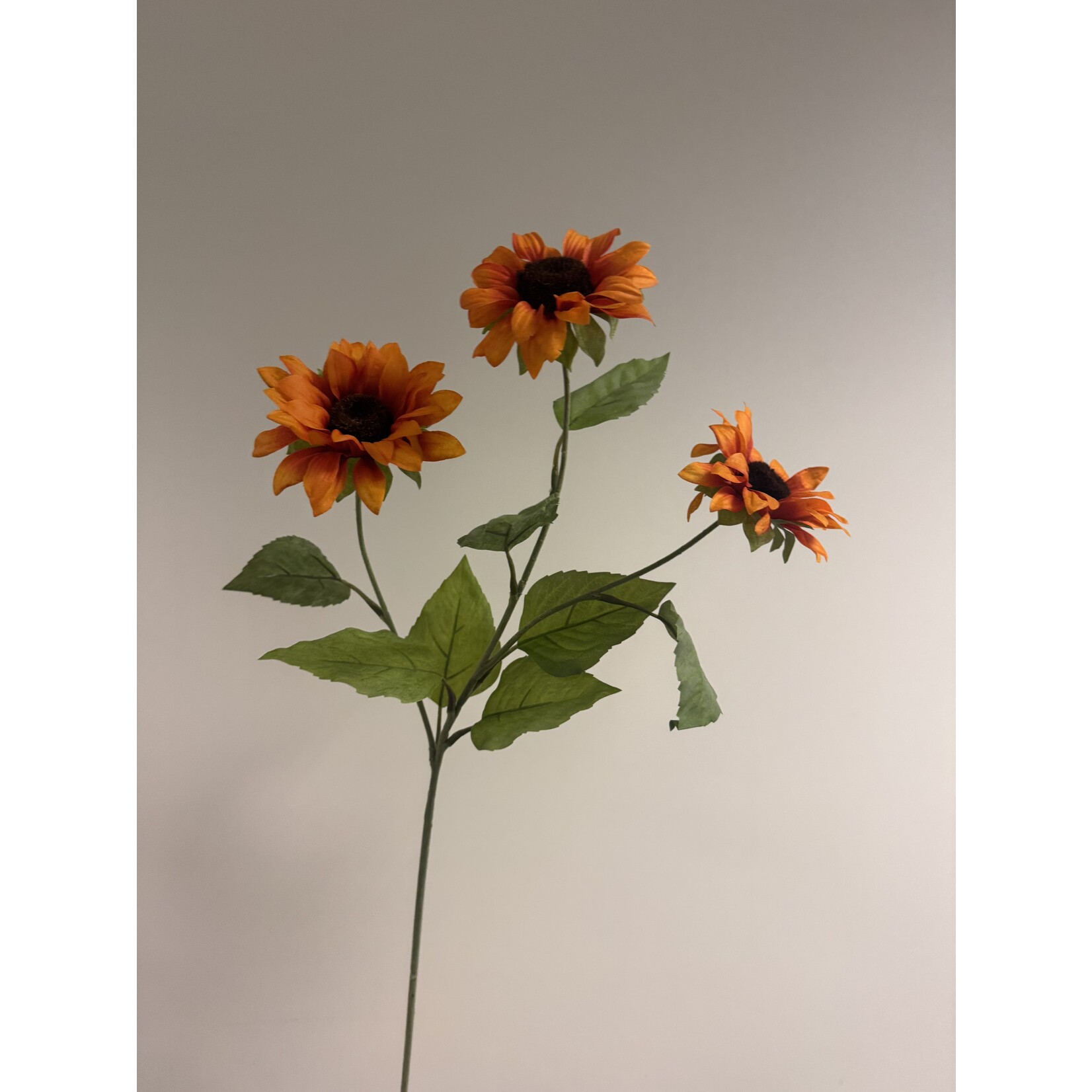 ASTER | ORANJE | 80 CM