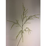 ASTILBE | GREEN| 100 CM