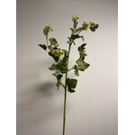 BARBARA KRUID | GEEL | 78 CM