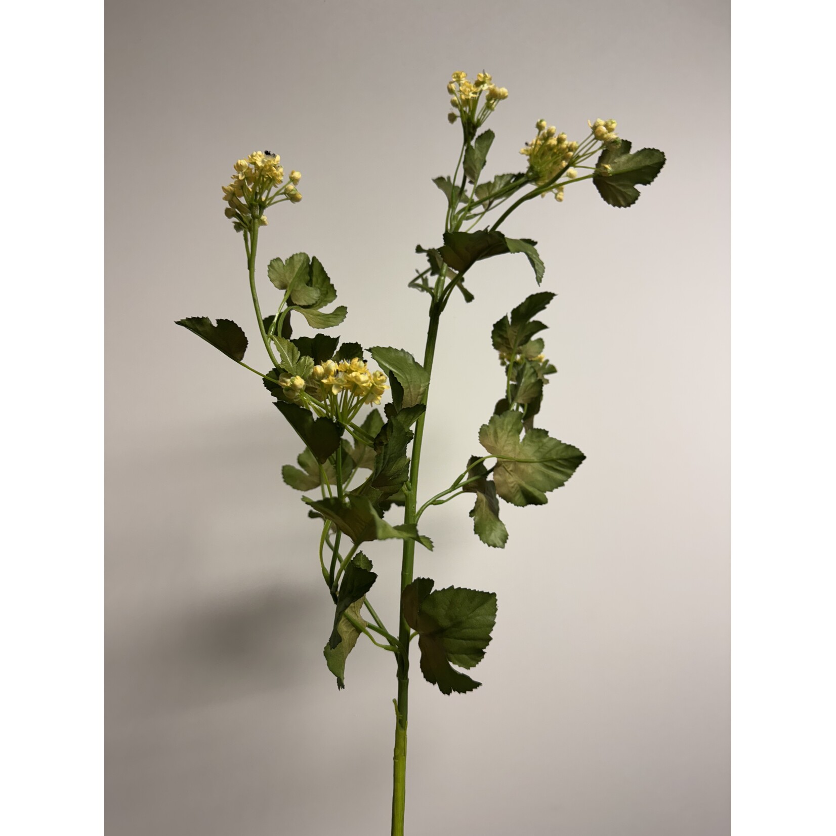 BARBARA KRUID | GEEL | 78 CM