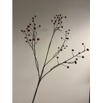 BESSENTAK | ROOD |  110 CM