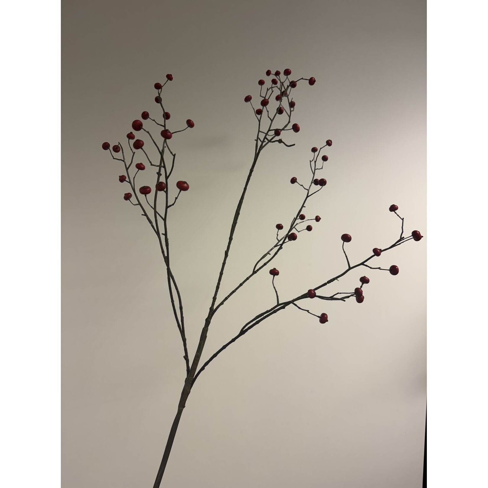 BESSENTAK | ROOD |  110 CM