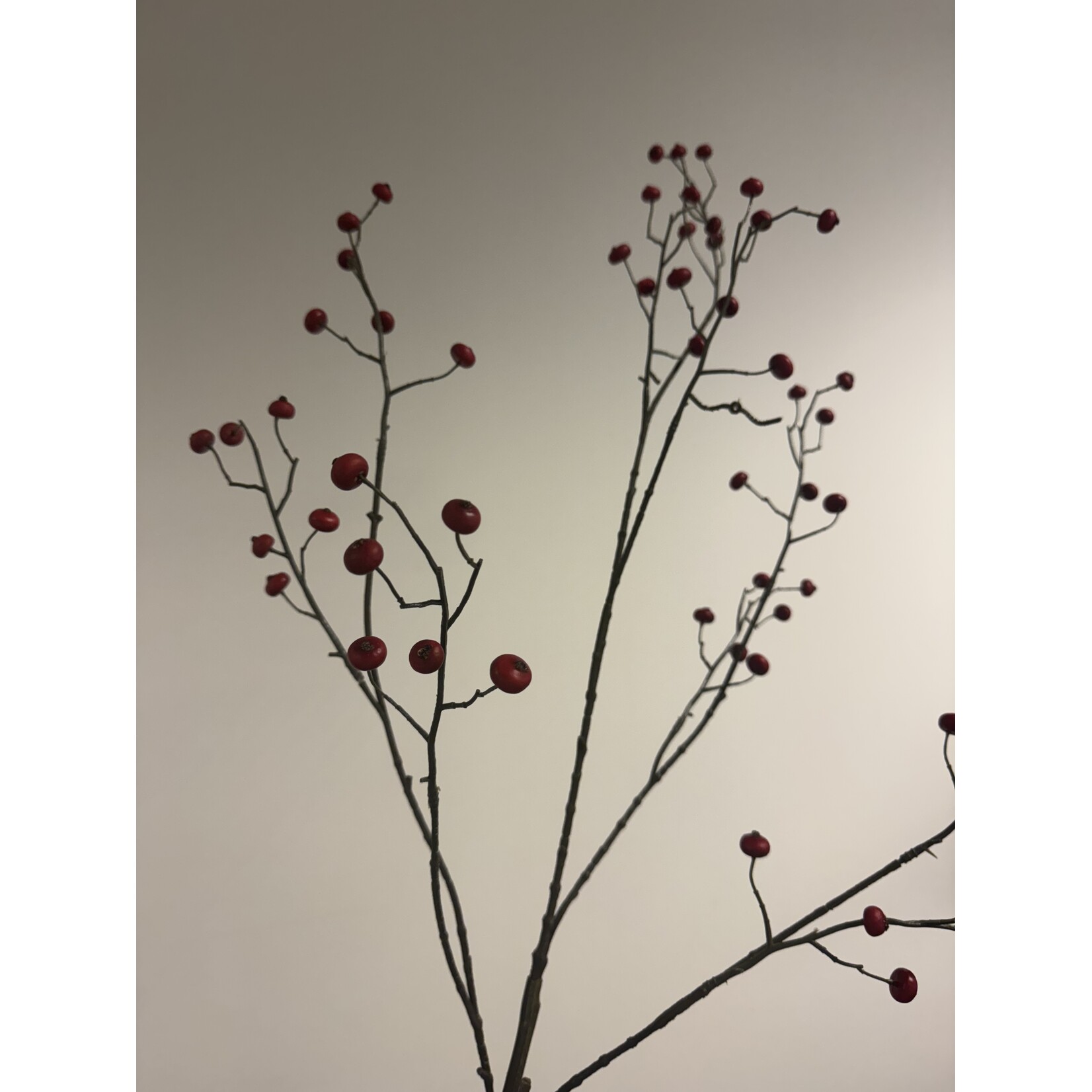 BERRY  SPRAY | RED | 110 CM