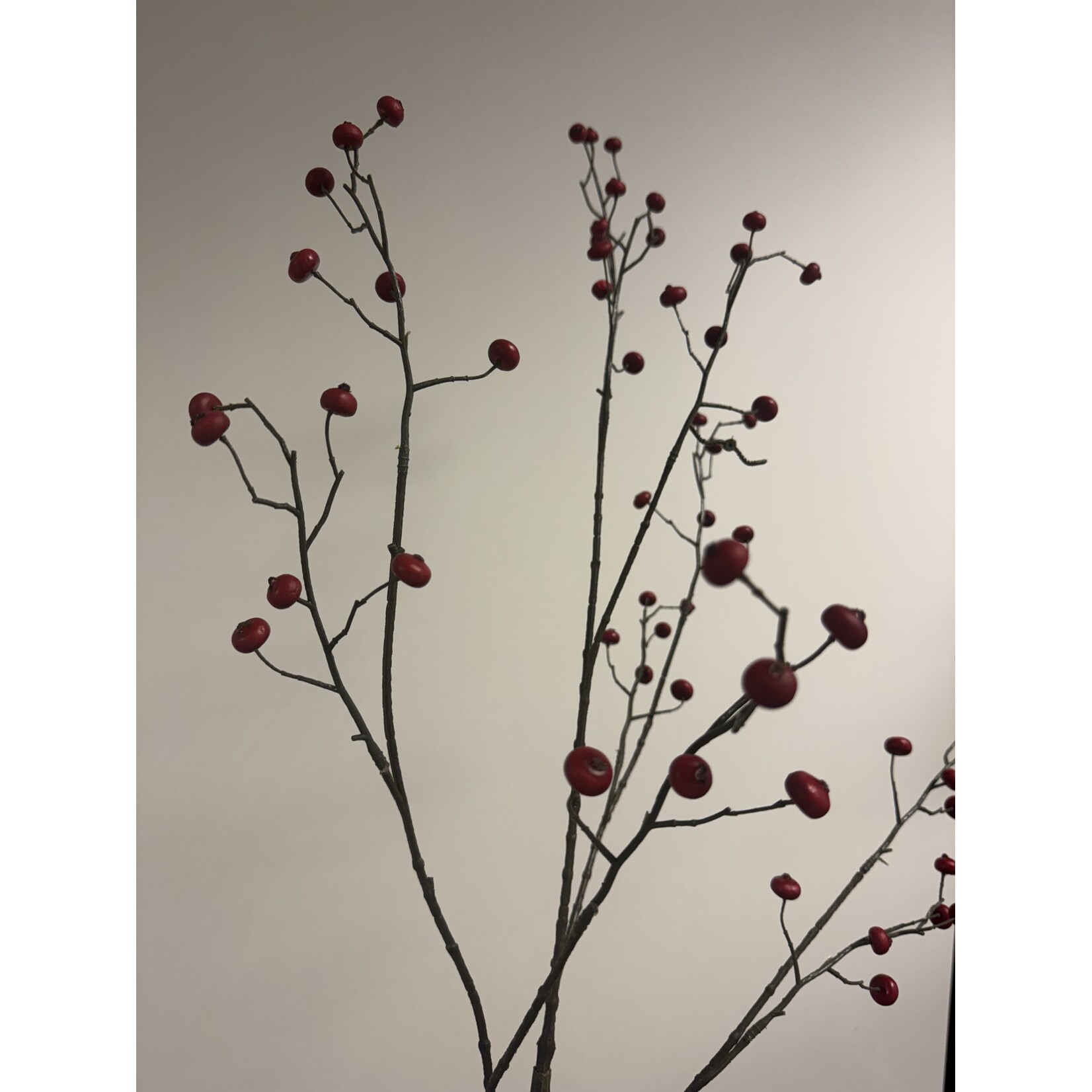 BERRY  SPRAY | RED | 110 CM