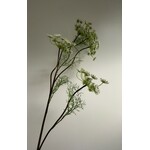 VENKEL | WIT | 125 CM