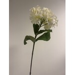 HORTENSIA | WIT | 80 CM