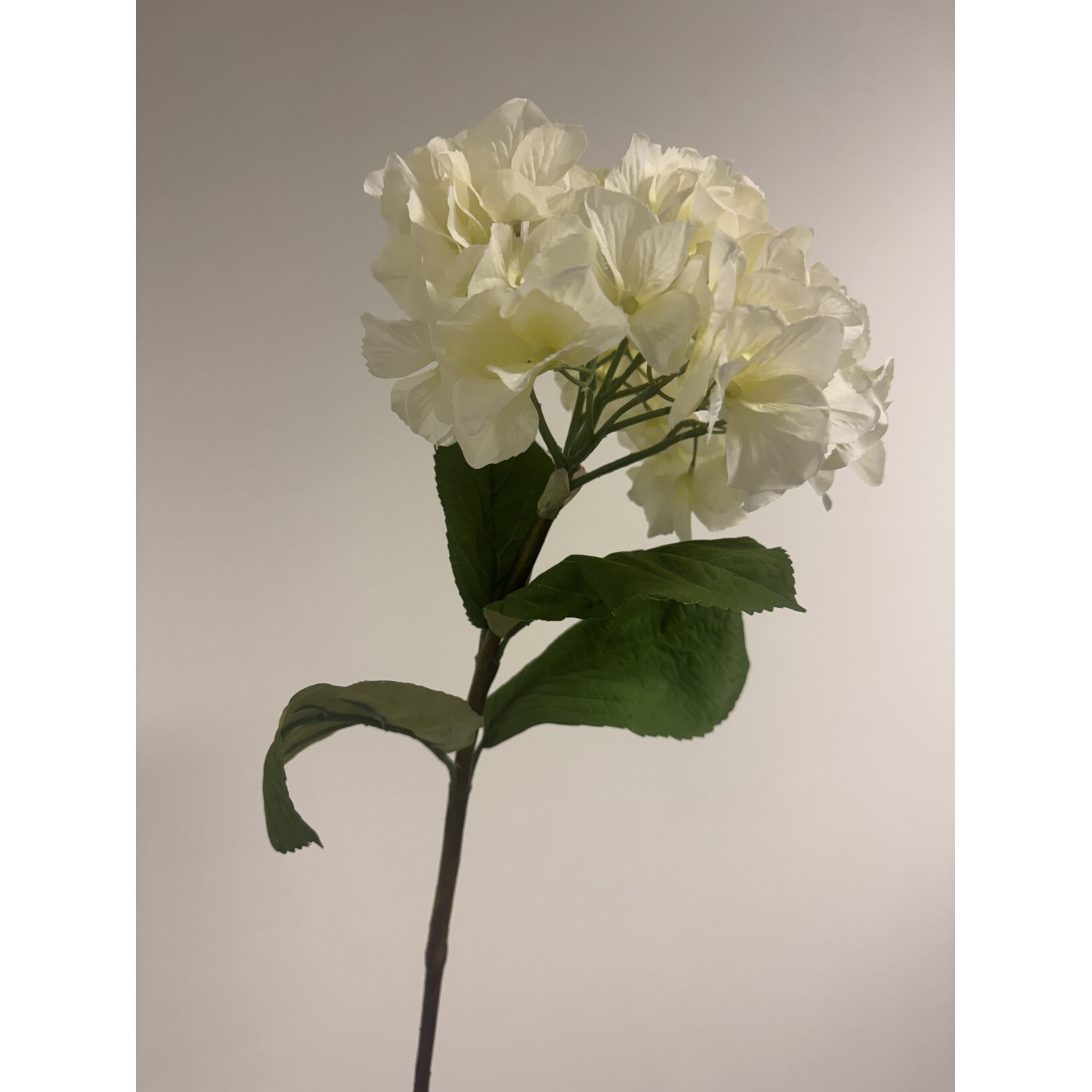 HYDRANGEA | WHITE | 80 CM