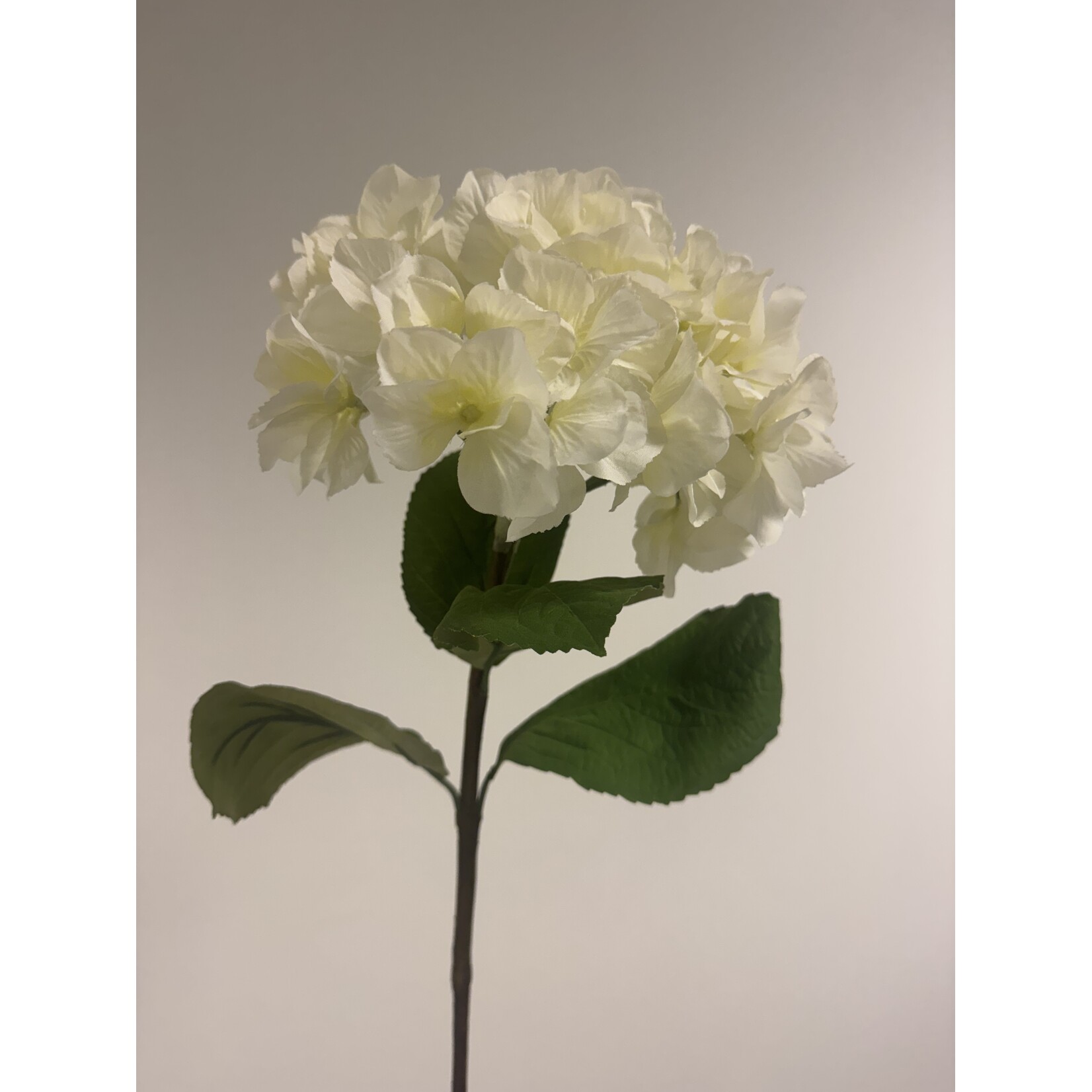 HYDRANGEA | WHITE | 80 CM