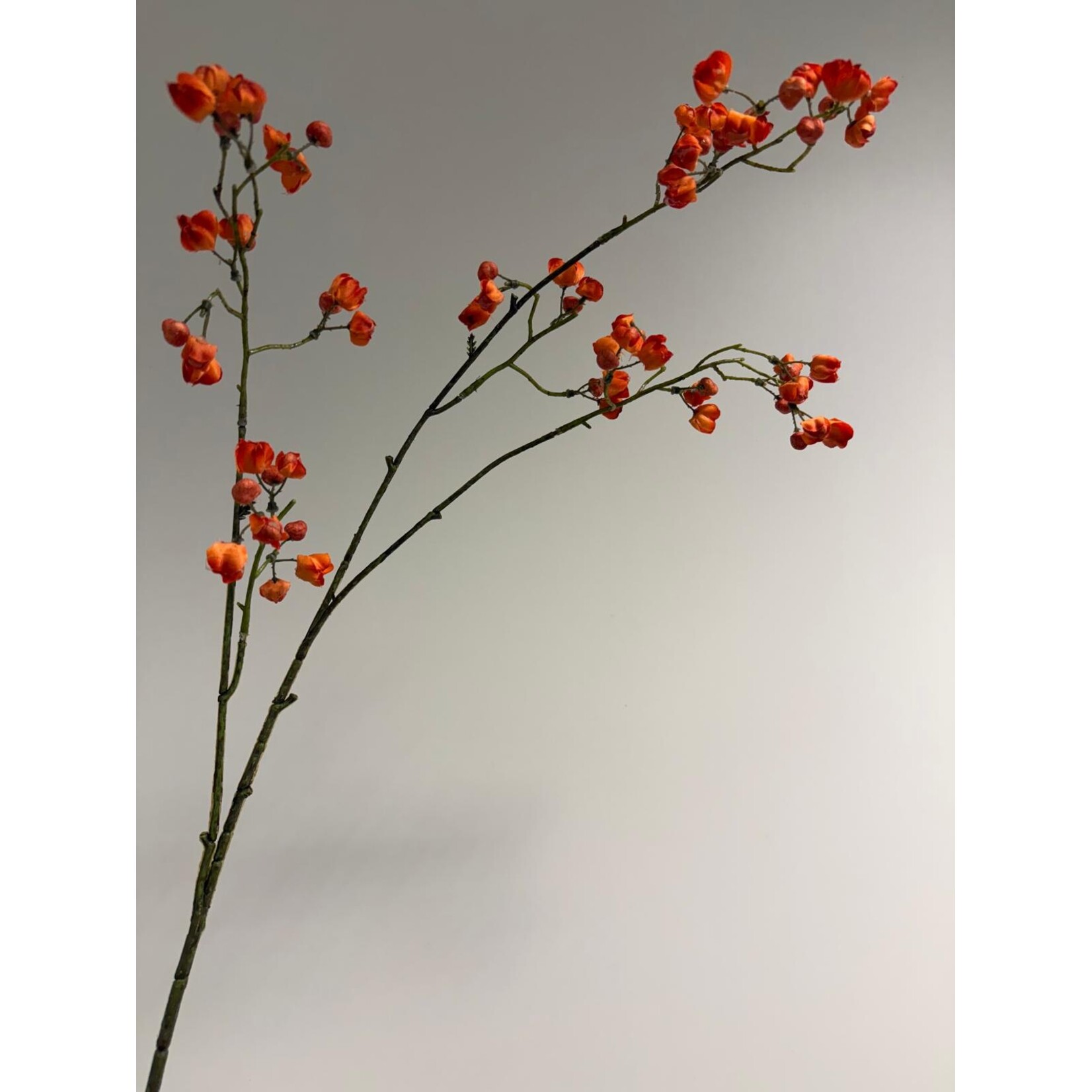 BESSENTAK | ORANJE |  90 CM