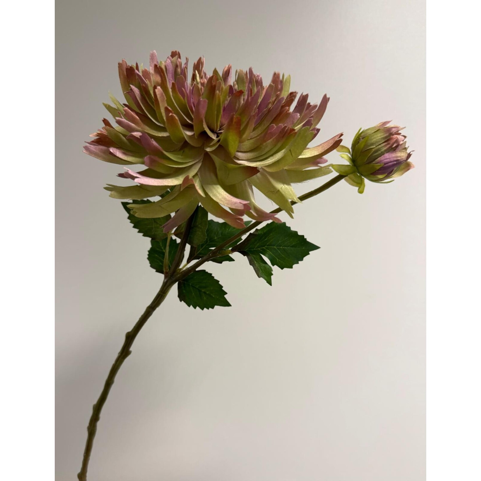CHRYSANT SPIDER | GEEL ROZE | 54 CM