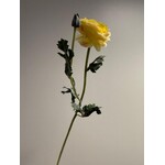 RANUNCULUS | YELLOW | 68 CM